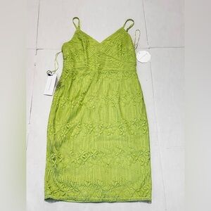Little Mistress Paper Dolls lace dress with frill detail in lime Sz 10 NWT!